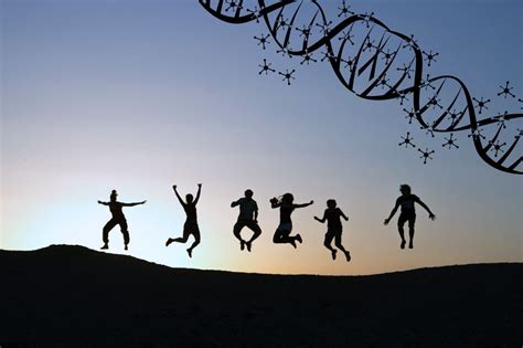 DNA Testing — Hoffman Natural Health 