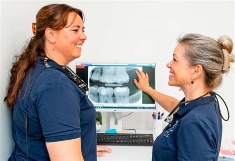 Tandklinik I Hvidovre L S Om Hvid Tand Her Kontakt Os I Dag