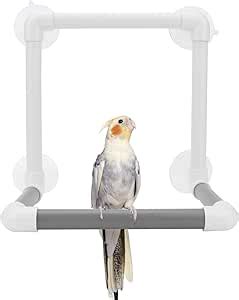 Amazon Hypeety Bird Parrot Stand Perch Shower Perch Standing Toy