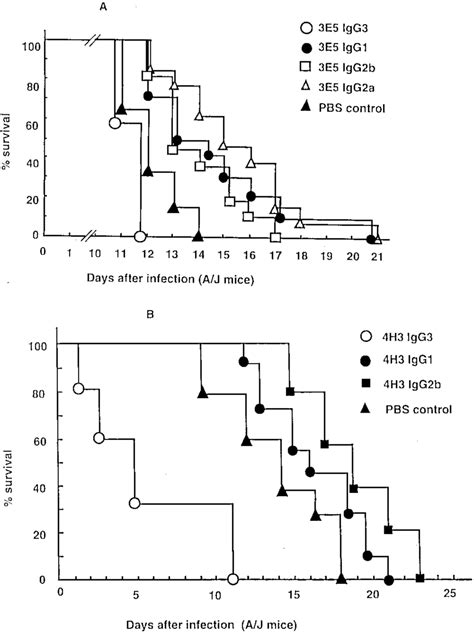 Survival Of A Jcr Mice Infected With C Neoformans After The