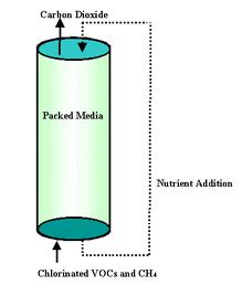 Bio-Filtration - Bioremediation