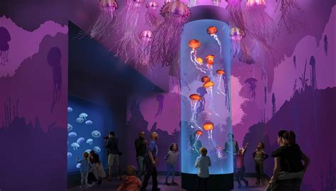 All New Jewels Of The Sea The Jellyfish Experience Exhibit Opening