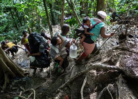 La Crisis Del Darién Récord De Migrantes Y Menores En Tránsito En 2023