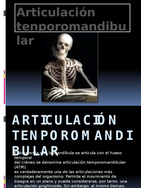 Pdf Anatomia Articulacion Temporomandibular Dokumen Tips