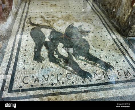 Mosaic floor in Pompeii Stock Photo - Alamy