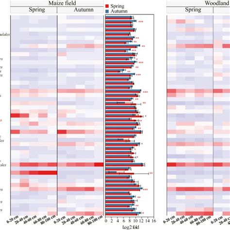 Heat Map Showing The Variation And Relative Abundance Of Bacterial Taxa Download Scientific