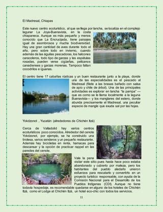 Ensayo Ecoturismo en México PDF