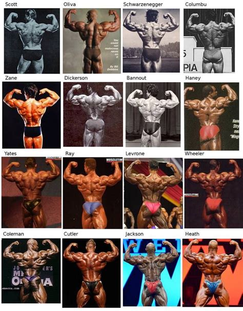 Evolution Of Mr Olympia Gallery Of All Poses From Legendary Bodybuilders Album On Imgur