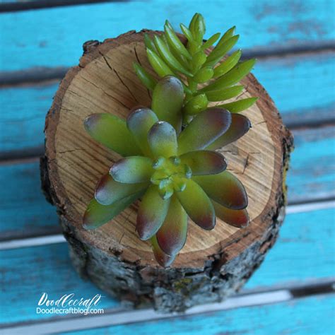 Doodlecraft Succulent Log Planter