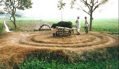 LIFE STYLE: Village life in Pakistan in Pictures