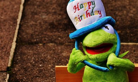 Birthday Congratulations Kermit Free Photo On Pixabay