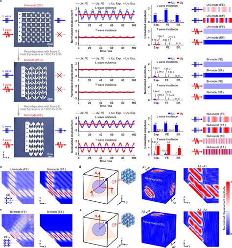 Dynamic Experiments And Wave Function Programmability Of The