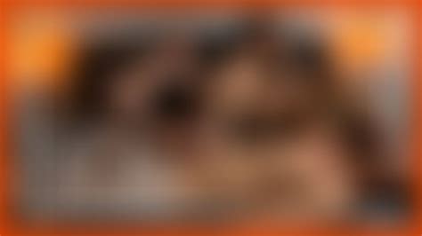 Ts Carla Brasil Porn Videos Clips4sale