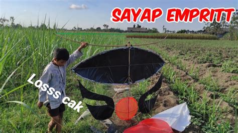 BOCIL DANIS NIAT SETING LAYANGAN GAPANGAN SAYAP MALAH DI AJAK BETEL