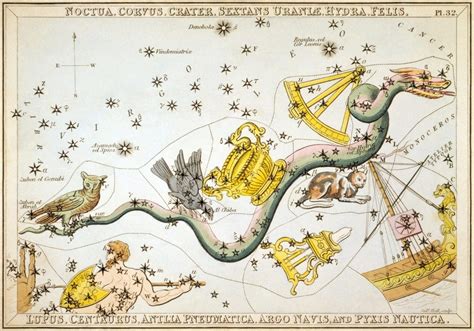 Corvus Constellation Stars – Astrology King