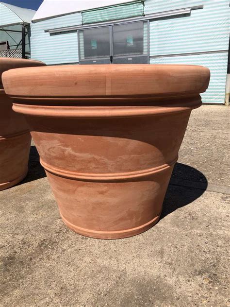 Terracotta Pots