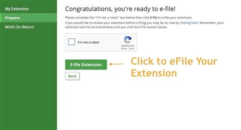 How To Prepare And E File An IRS State Income Extensions