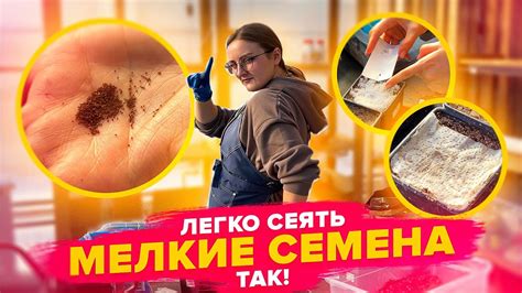 ЛЕГКО ПОСЕЯТЬ МЕЛКИЕ СЕМЕНА! Лобелия, петуния - YouTube