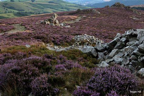 Stiperstones, Shropshire | Angie Hill | Flickr