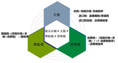 进口报关单怎么查询（进口报关单模板图一览） 拼客号