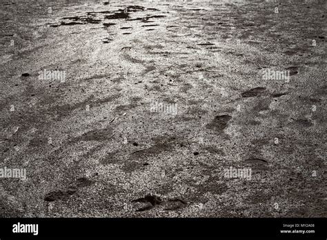 Footprint Mud Hi Res Stock Photography And Images Alamy