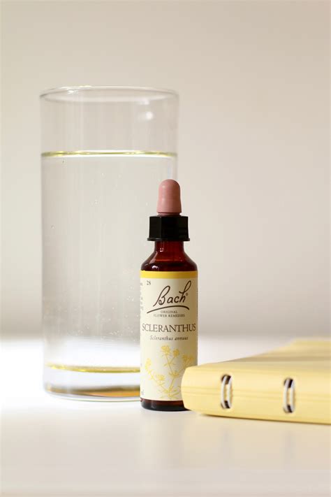 5 Bach Remedies To Help You Find Calm In A Financial Crisis Angela