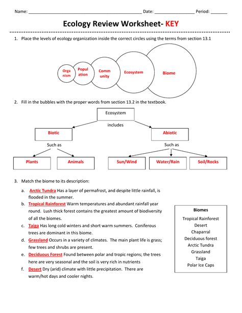 Ecological Relationships Worksheet Answers Activity Relationships In An Ecosystem Science