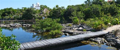 Our Complete Guide To Yal Ku Lagoon Akumal World Travel Toucan