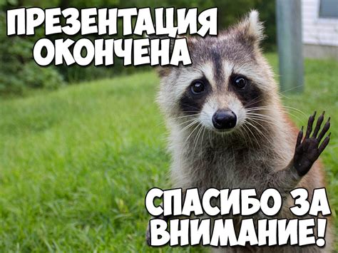 Красивые картинки "Спасибо за внимание" для презентации - скачать бесплатно