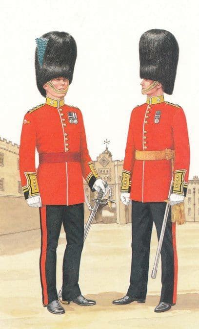 Field Officer Of Honour Irish Guard Military Postcard Manuscript