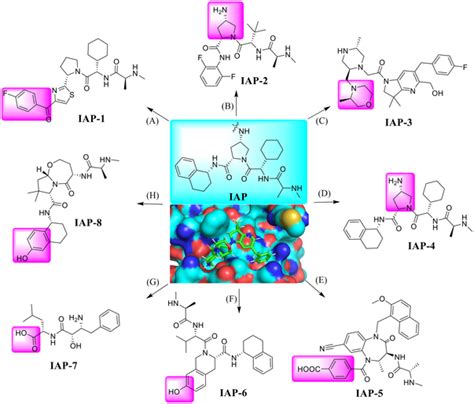 A Variety Of Small Molecules That Serve As The Ligands For Iap E