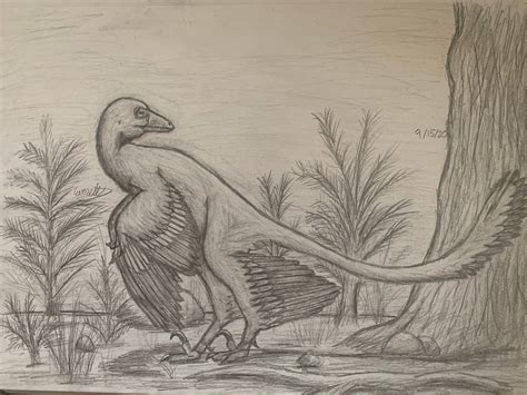 Microraptor Zhaoianus By Everett1107 On Deviantart