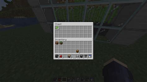 Comment Cr Er Une Ferme De Canne Sucre Automatique Dans Minecraft