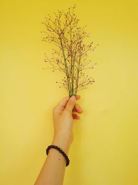 Premium Photo Close Up Of Woman Hand Holding Plant Against Yellow