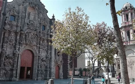 Biblioteca Miguel Lerdo de Tejada uno de los lugares más pacíficos