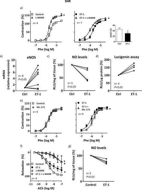 Role Of Nitric Oxide And Oxidative Stress On Et 1 Induced Potentiation Download Scientific