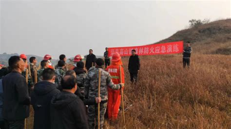 荣县多措并举 筑牢森林防灭火屏障 Isenlin Cn