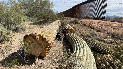 Border wall construction plows through southwestern US undeterred by ...