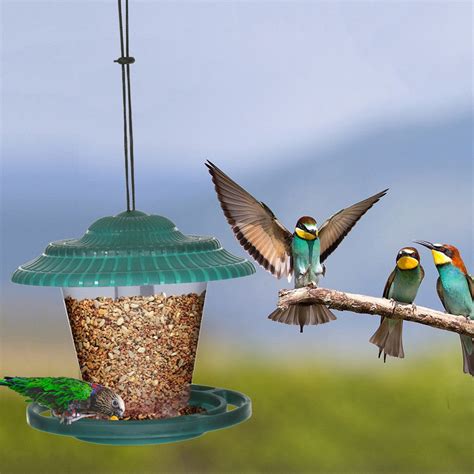 Bird feeder camera - bezypilot