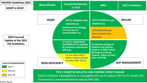 Comments On The 2023 Update Of The 2021 Esc Guidelines For The