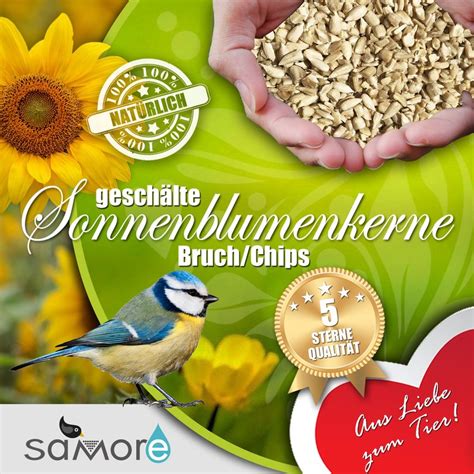 Kg Sonnenblumenkerne Gesch Lt Bruch