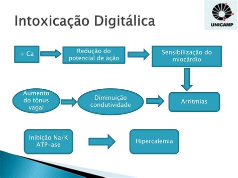 Digit Licos Mecanismo De A O Braincp