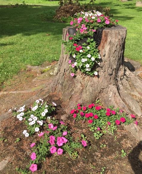 Tree Stump Decor Tree Stump Planter Tree Stumps Flower Garden Ideas