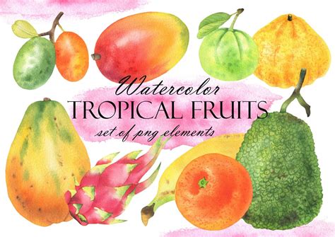 Watercolor Tropical Fruit Clipart Summer Fresh Exotic Fruits Clip Art