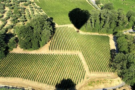 Masciarelli Villa Gemma Montepulciano DAbruzzo Riserva 2016 Gus