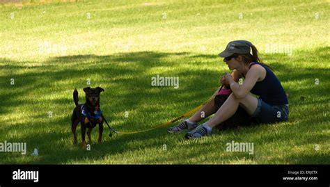 Fille Joue Avec Son Chien Dans Le Parc Banque De Photographies Et D