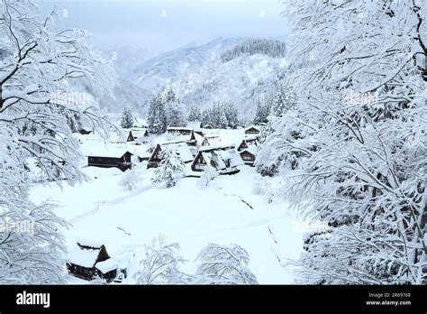 Aikura Gassho Zukuri Village In The Snow Stock Photo Alamy