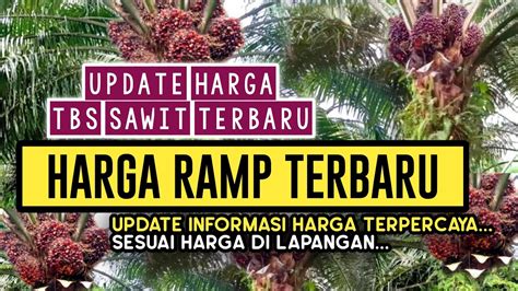 Harga Sawit Di Ramp Terbaru Berita Harga Sawit Hari Ini Di Riau