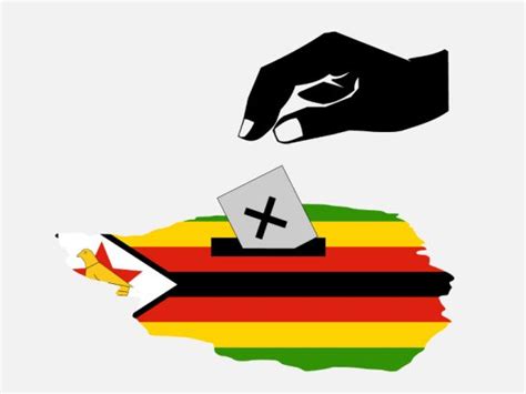 Zimbabwe 2023 Elections By The Numbers The Insider