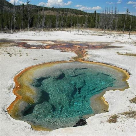 Yellowstone Biscuit Basin Pr Sentation Et Avis Des Voyageurs